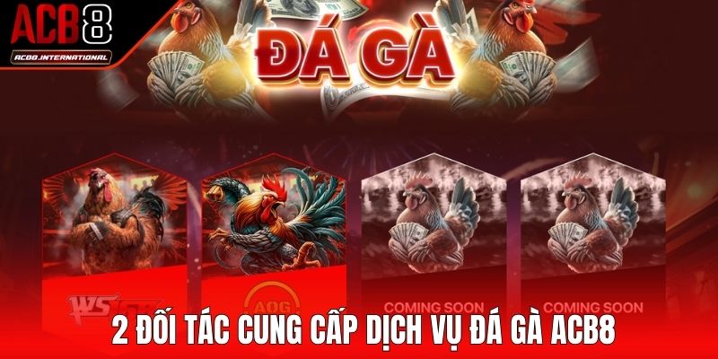 2 đối tác cung cấp dịch vụ chọi kê chất lượng 2 đối tác cung cấp dịch vụ chọi kê chất lượng