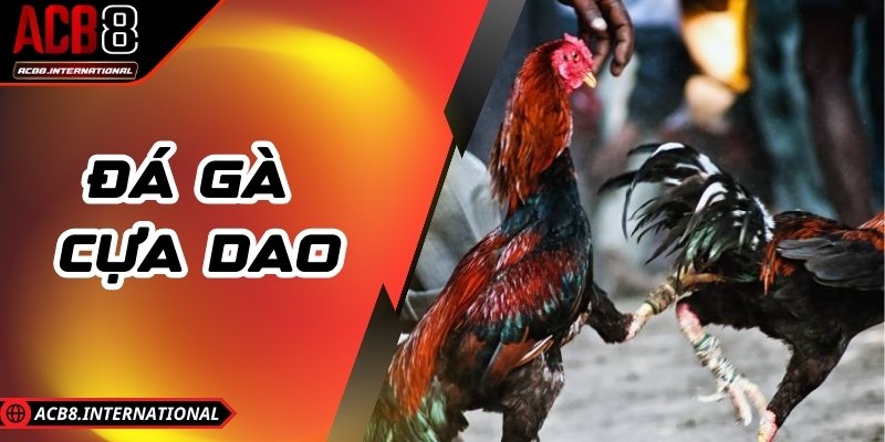 Đá Gà Cựa Dao - Đấu Trường Rực Lửa, Cược Không Giới Hạn Đá Gà Cựa Dao - Đấu Trường Rực Lửa, Cược Không Giới Hạn