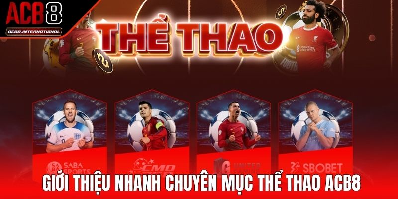Giới thiệu nhanh chuyên mục thể thao ACB8