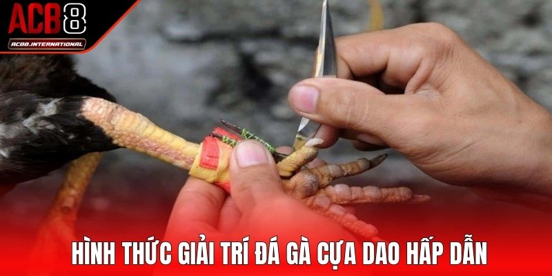 Hình thức giải trí đá gà cựa dao hấp dẫn