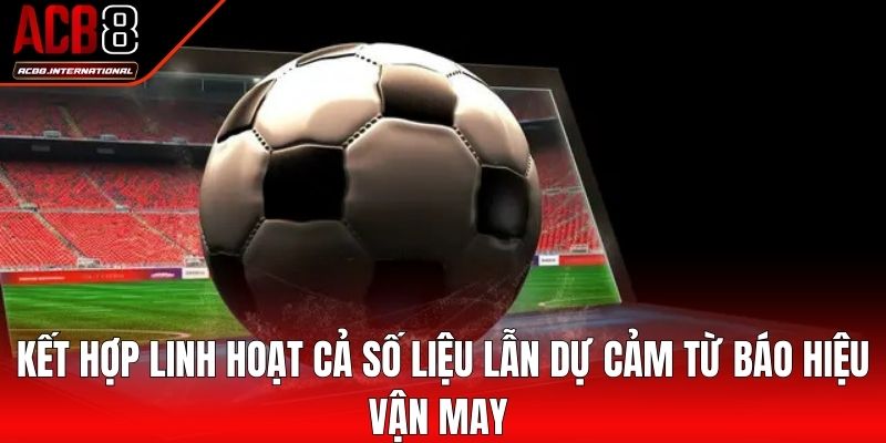 Kết hợp linh hoạt cả số liệu lẫn dự cảm từ báo hiệu vận may Kết hợp linh hoạt cả số liệu lẫn dự cảm từ báo hiệu vận may