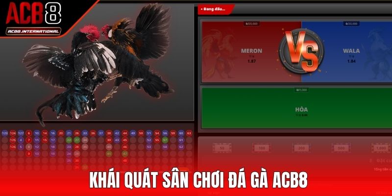 Khái quát sân chơi đá gà ACB8 chất lượng Khái quát sân chơi đá gà ACB8 chất lượng
