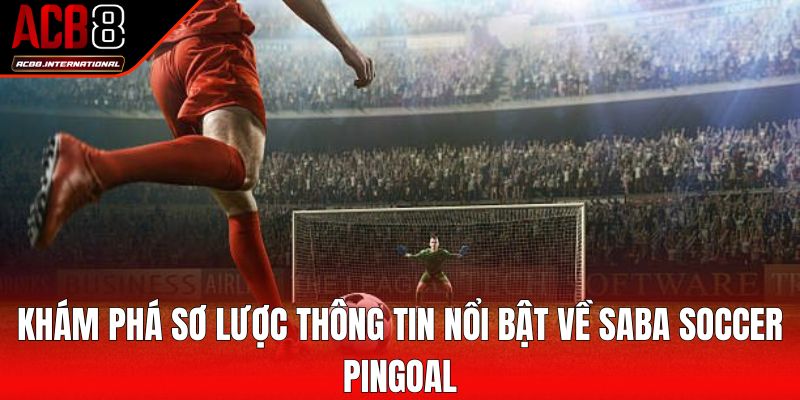 Khám phá sơ lược thông tin nổi bật về Saba Soccer Pingoal