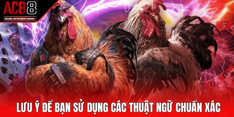 Lưu ý để bạn sử dụng các thuật ngữ trong đá gà chuẩn xác