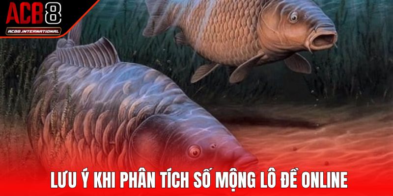 Lưu ý khi phân tích số mộng lô đề online