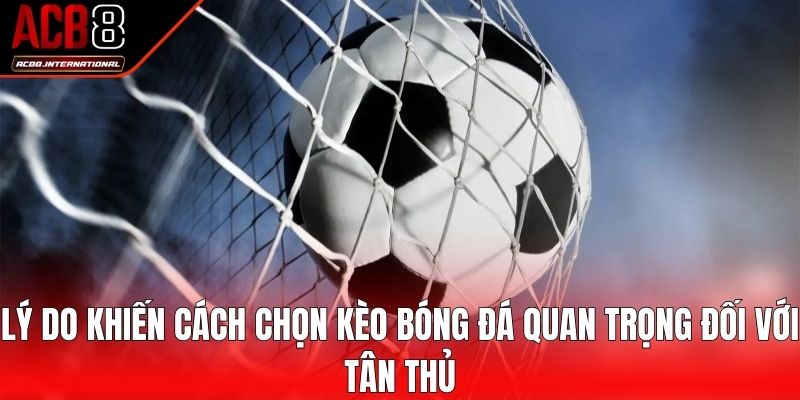 Lý do khiến cách chọn kèo bóng đá quan trọng đối với tân thủ Lý do khiến cách chọn kèo bóng đá quan trọng đối với tân thủ