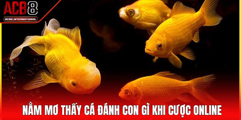 Nằm mơ thấy cá đánh con gì khi cược online