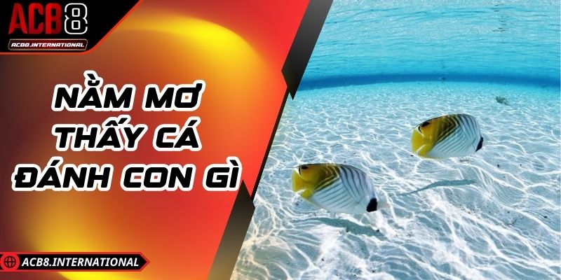 Nằm Mơ Thấy Cá Đánh Con Gì Giúp Thắng Lớn Lô Đề Online