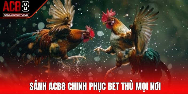 Những lý do giúp sảnh ACB8 chinh phục bet thủ mọi nơi