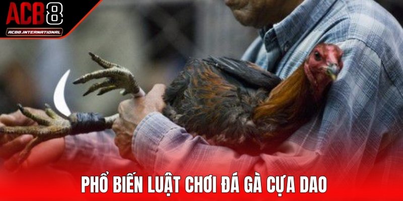 Phổ biến luật chơi đá gà cựa dao hấp dẫn cho bet thủ