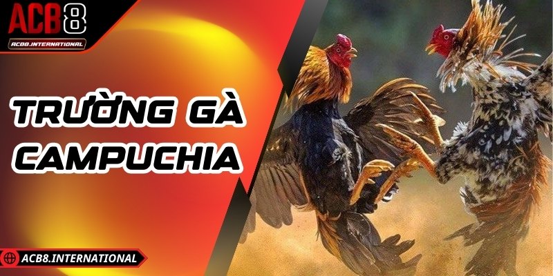 Trường Gà Campuchia – Điểm Đến Cá Cược Hot Nhất 2025 Trường Gà Campuchia – Điểm Đến Cá Cược Hot Nhất 2025